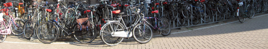Polaris: In the Saddle